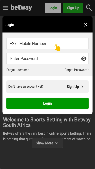 Complete the login process