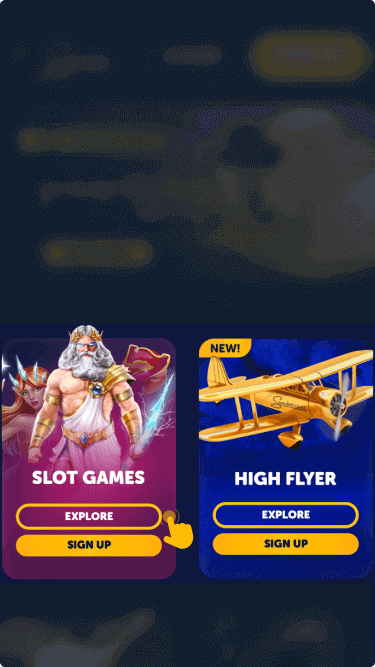 Download the application